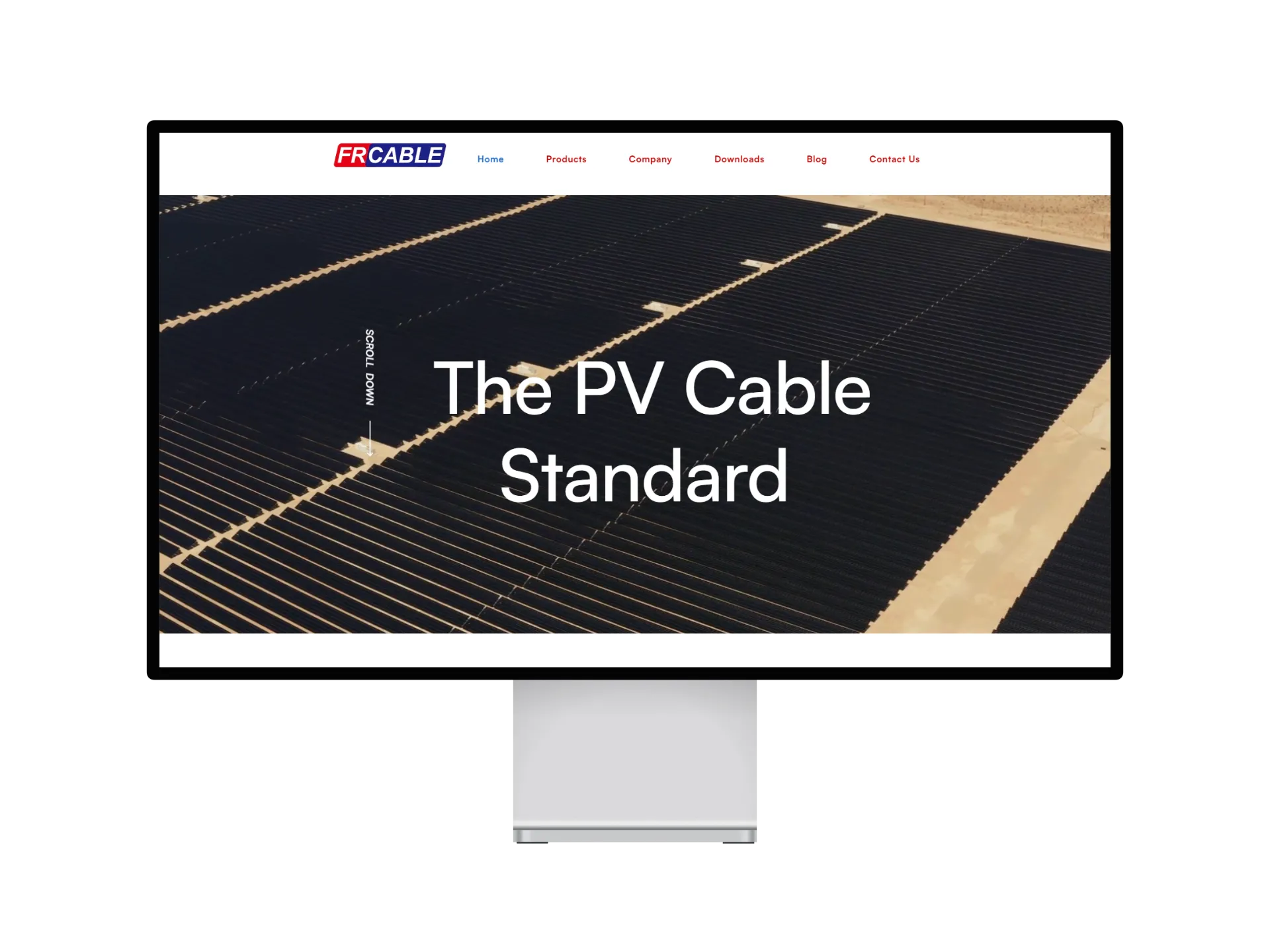 Client website design and development project for international markets