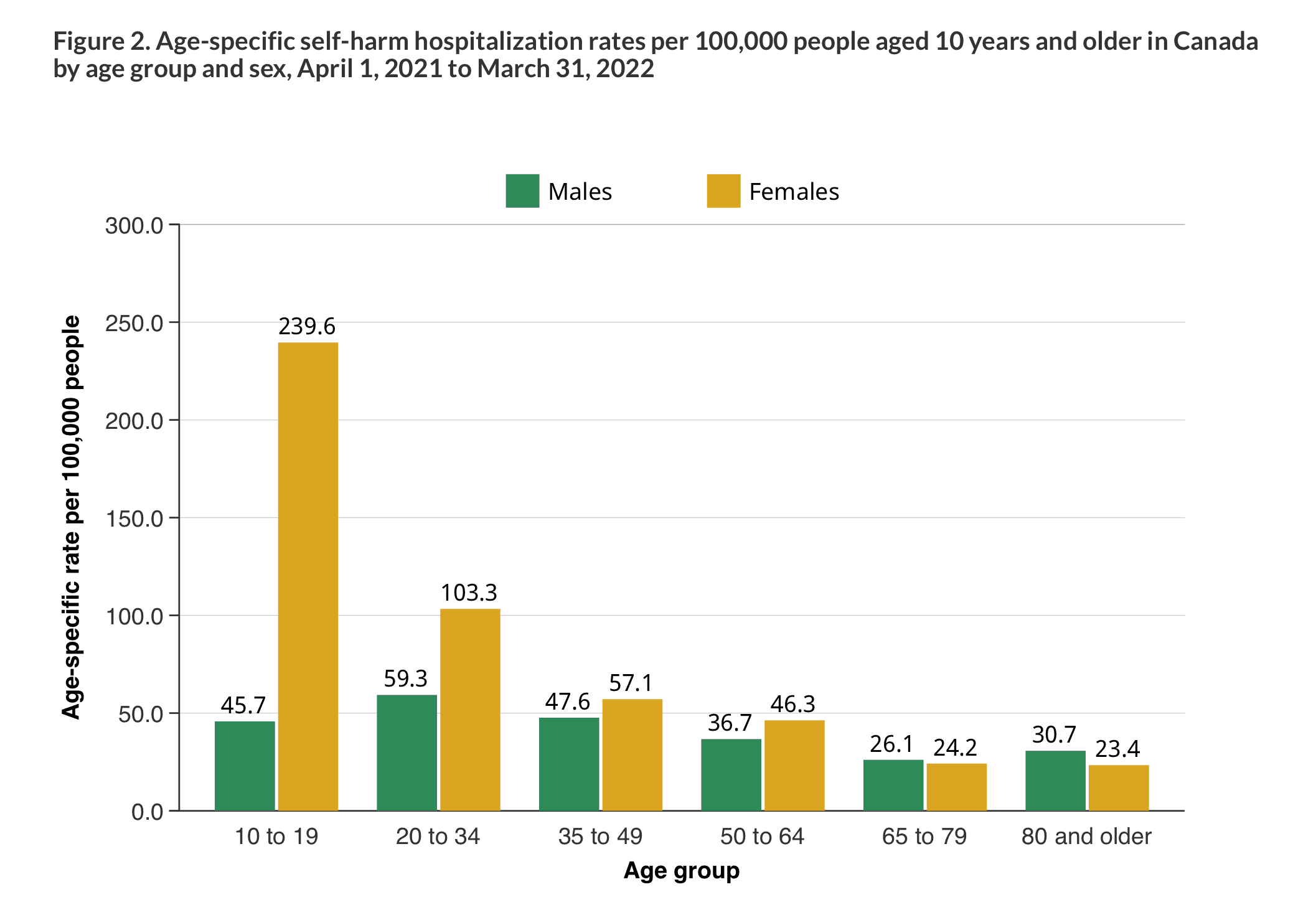 Nori typography guide
