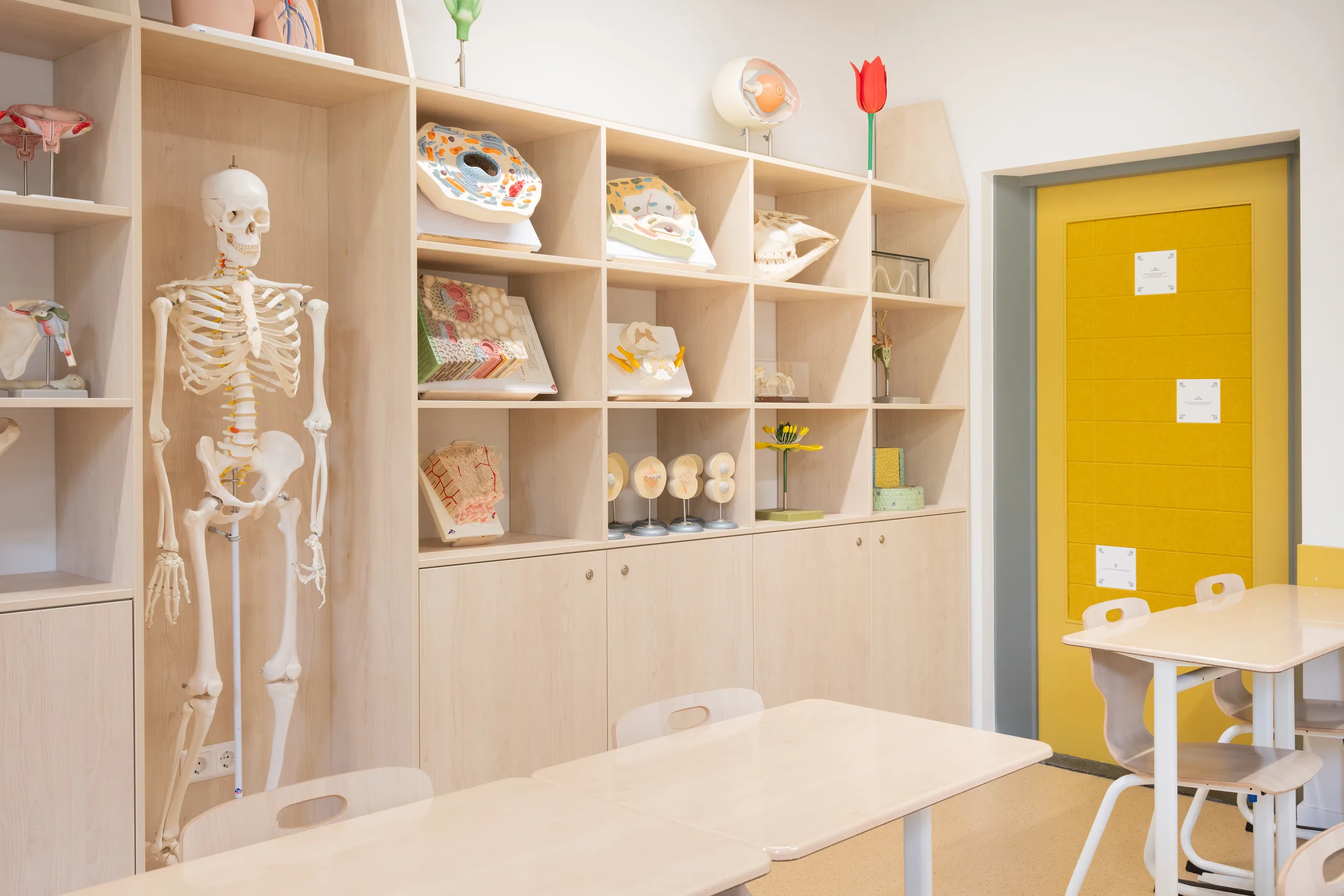 Biologie theorielokalen – Mendelcollege Haarlem – Inside Options