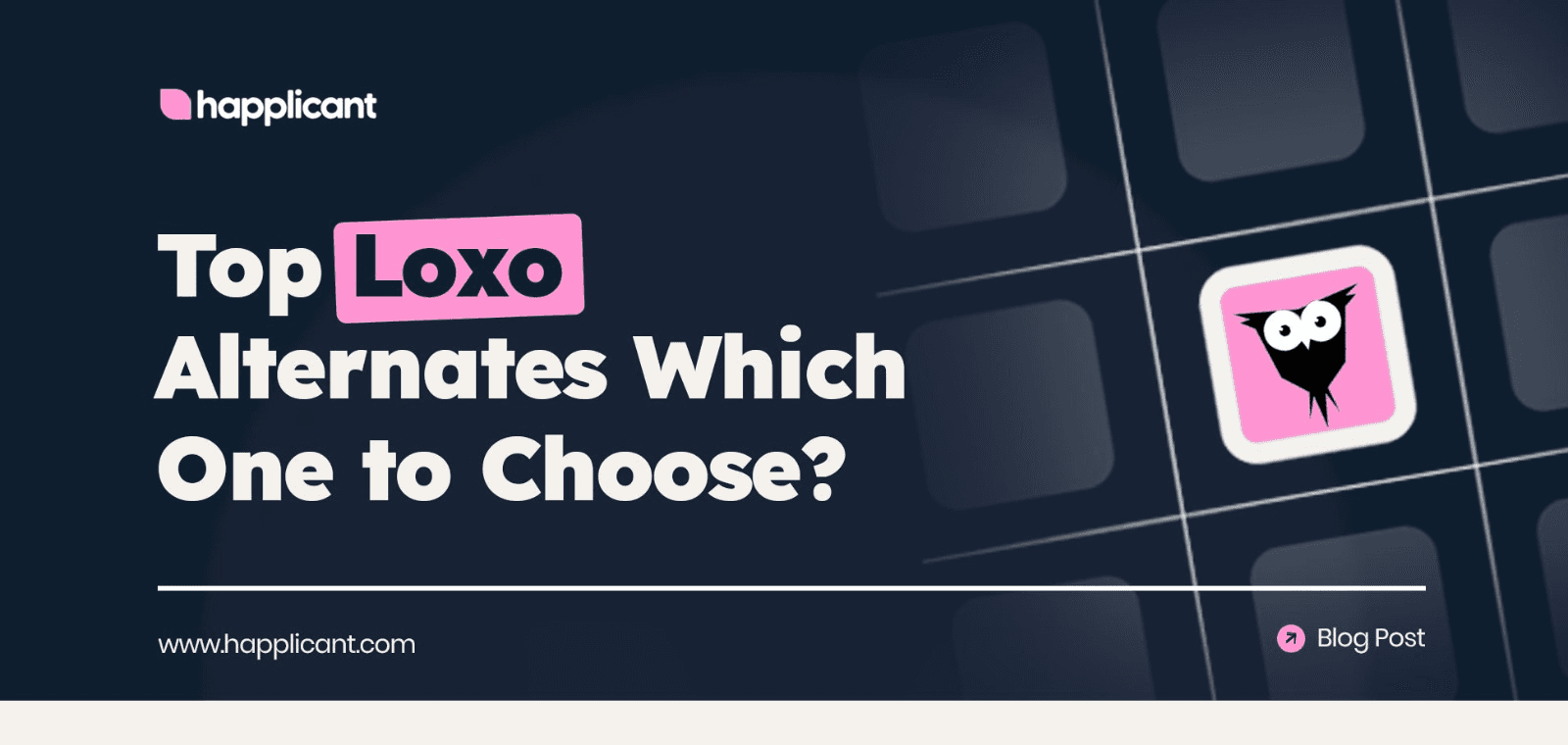 Man with beard smiling, looking away from the camera