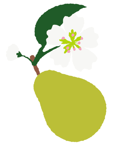 Illustration en flat design d'une poire mûre surmontée d'une fleur de poirier blanche en pleine floraison, illustrant l'étape “univers et textures”. Le style graphique est texturé avec des bords irréguliers pour un effet peinture artisanale. On y voit une poire verte claire, une feuille vert foncé, des pétales blanches et des pistils verts et roses. Sur fond vert pastel de forme organique et texturé, qui s’anime en tournant sur elle-même.