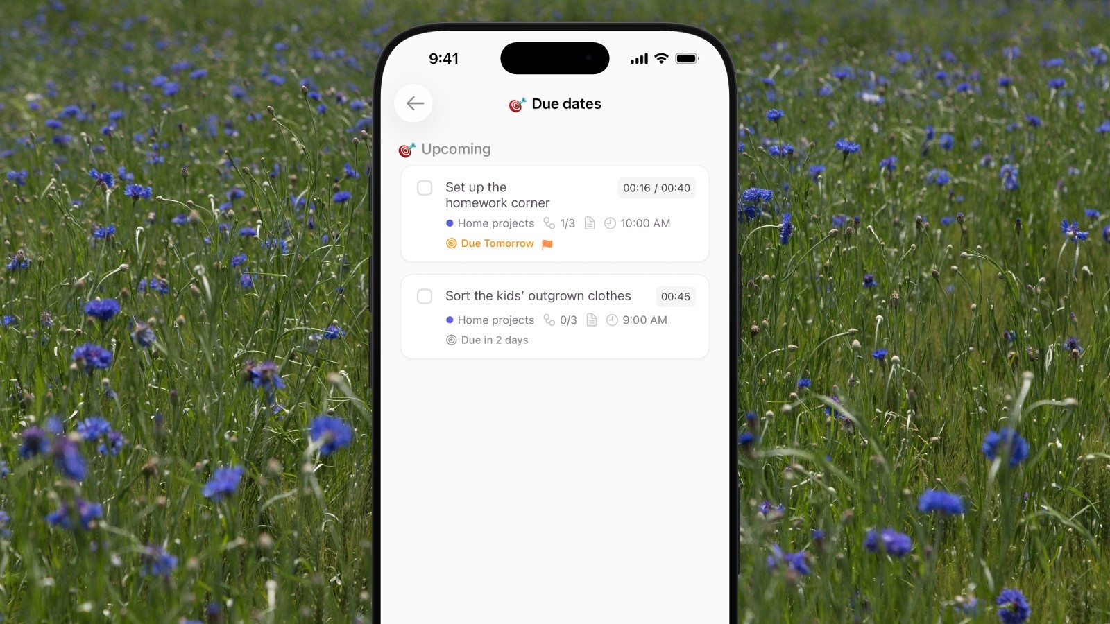 Ellie’s due dates screen on an iPhone in front of a sharp, busy photo of a cornflower meadow