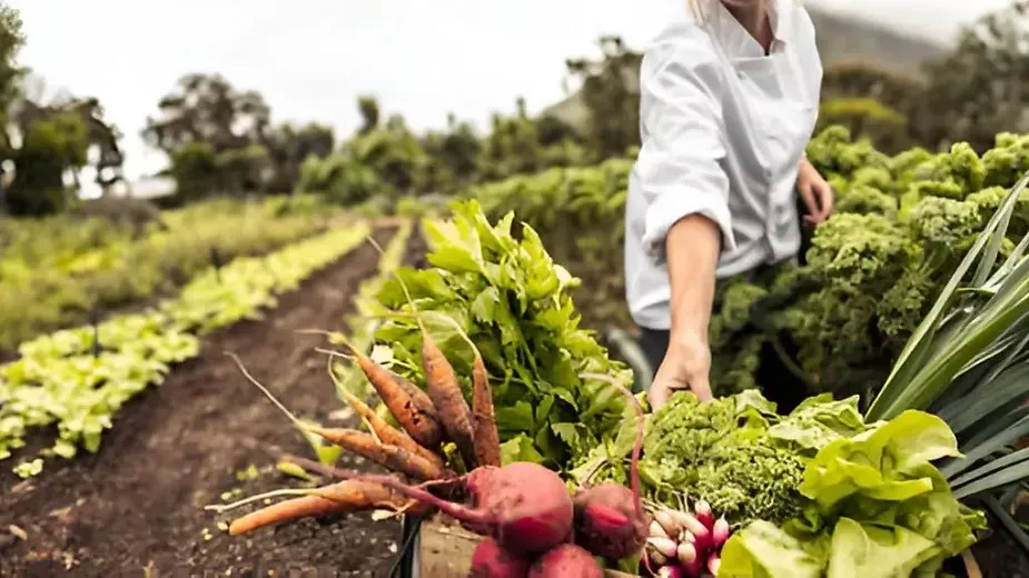 Benefits of Organic Farming.webp