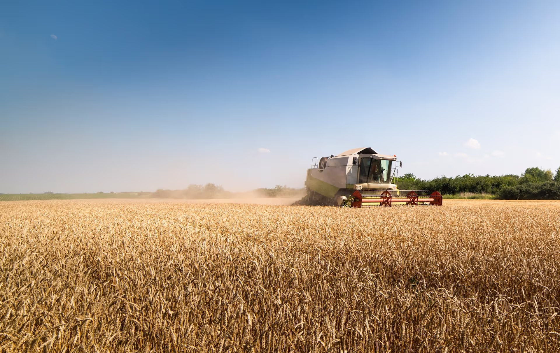 BroadGrain case study - Twelverays