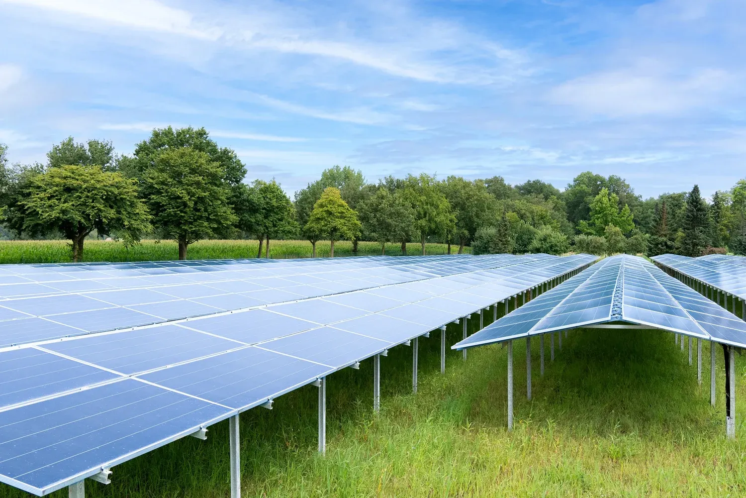 Großes Solarkraftwerk mit Reihen von Solarpanelen unter blauem Himmel.