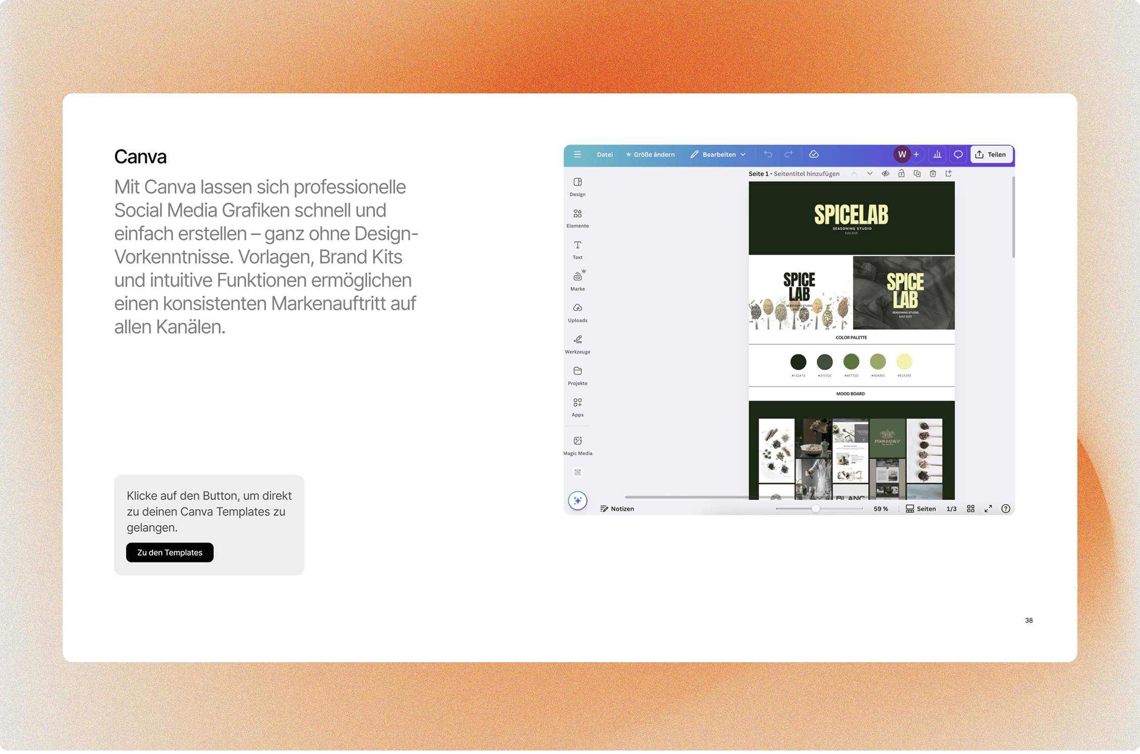 Social Media Guide: Canva Anleitung