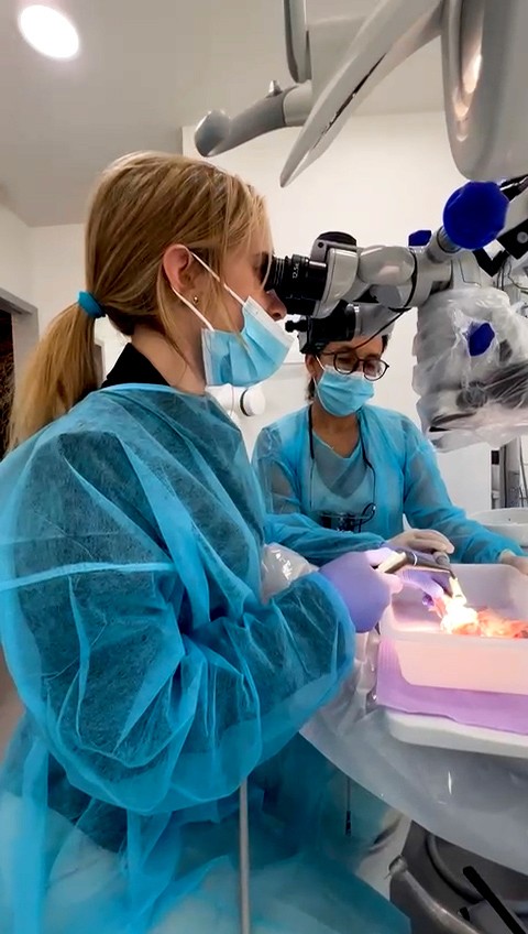 Visão microscópica aplicada