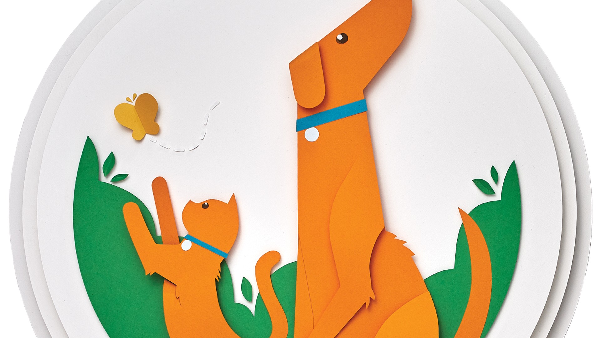 Elanco - Advantage: Product Brand Campaign