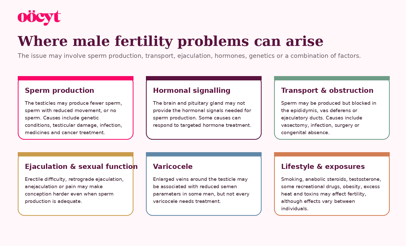Six cards explain sperm production, hormonal signalling, transport and obstruction, ejaculation, varicocele, and lifestyle or environmental factors.