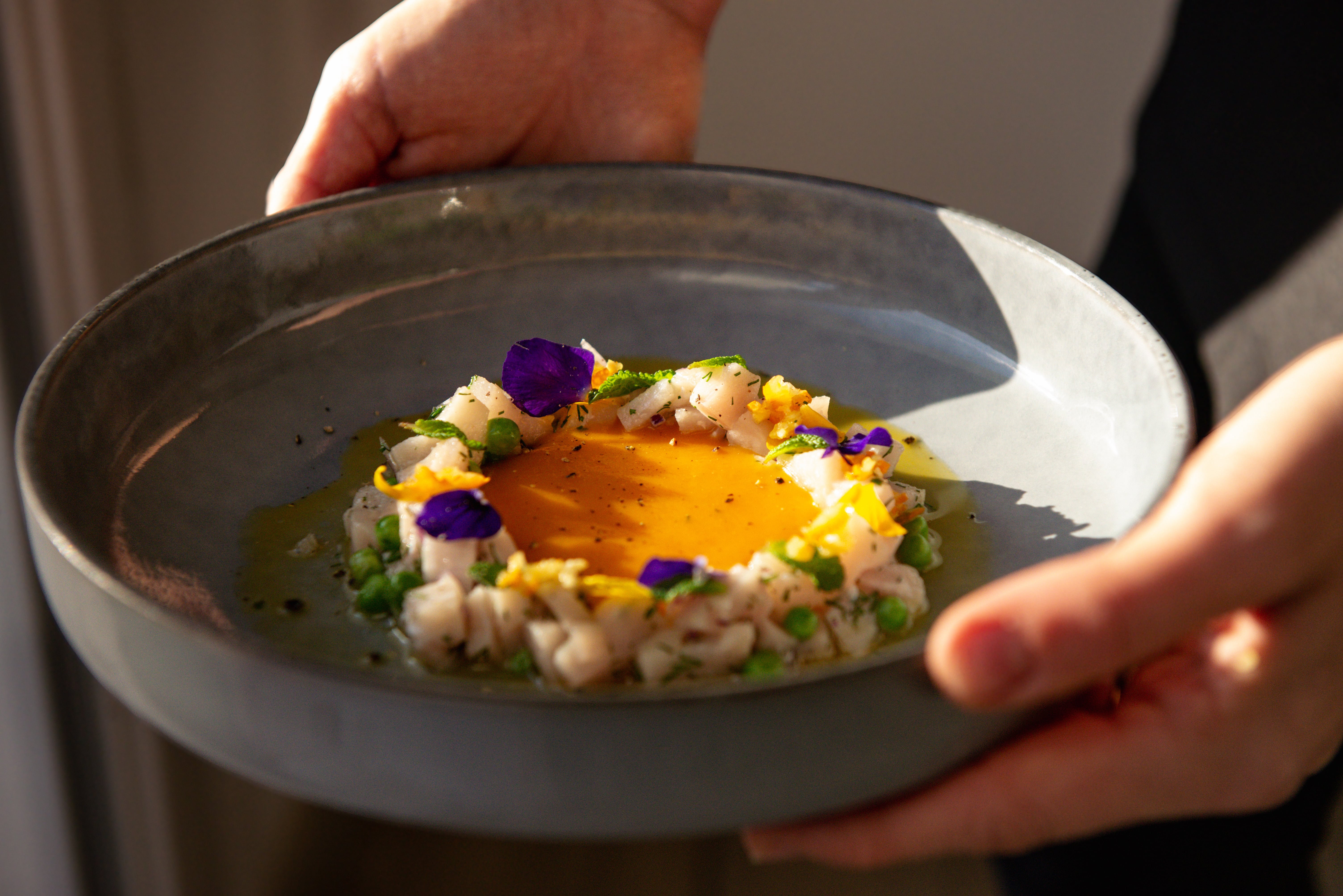 Plat photographier à la lumière du jour / photographe culinaire occitanie 