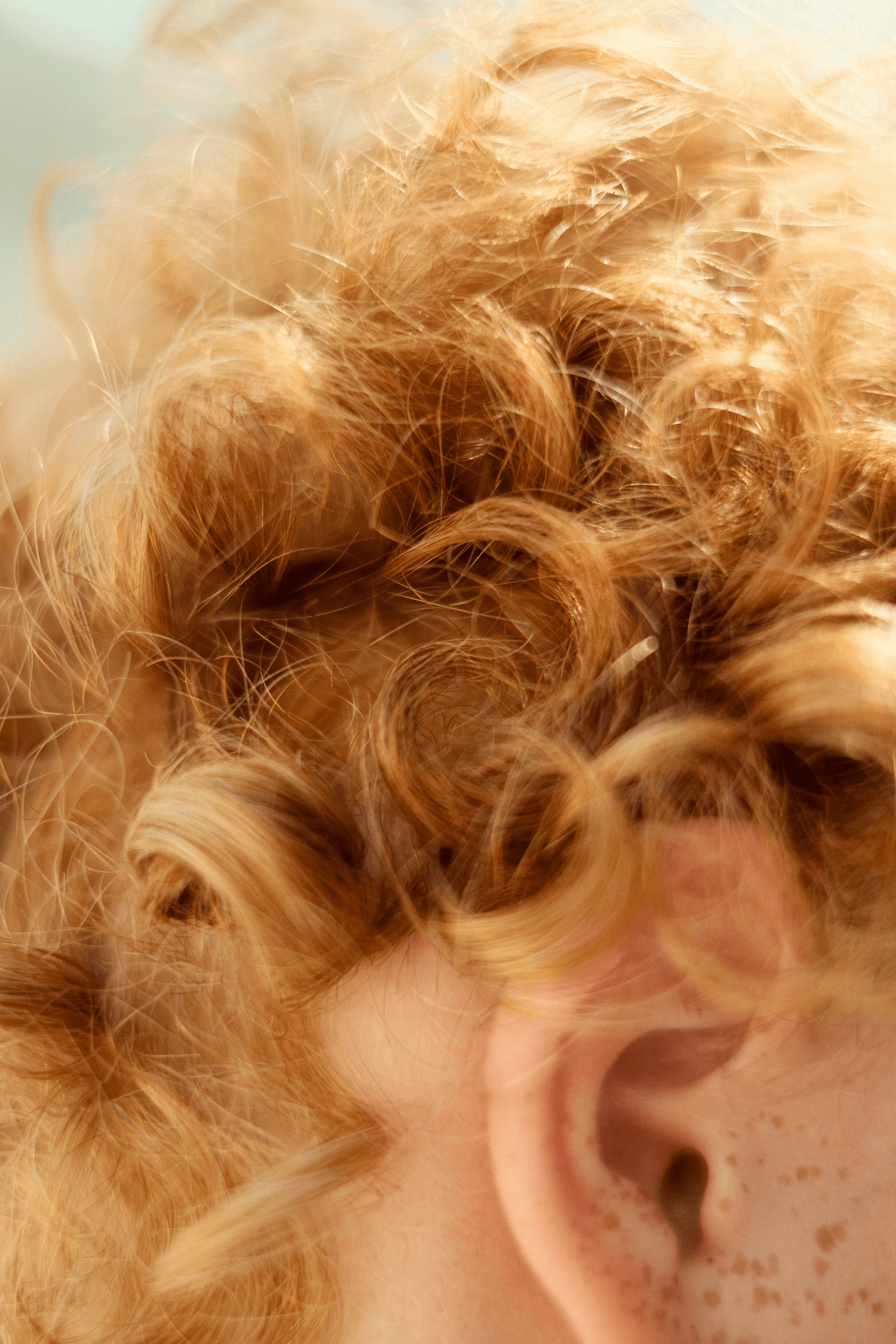 Eva Visser Fotografie Portet Familie Shoot