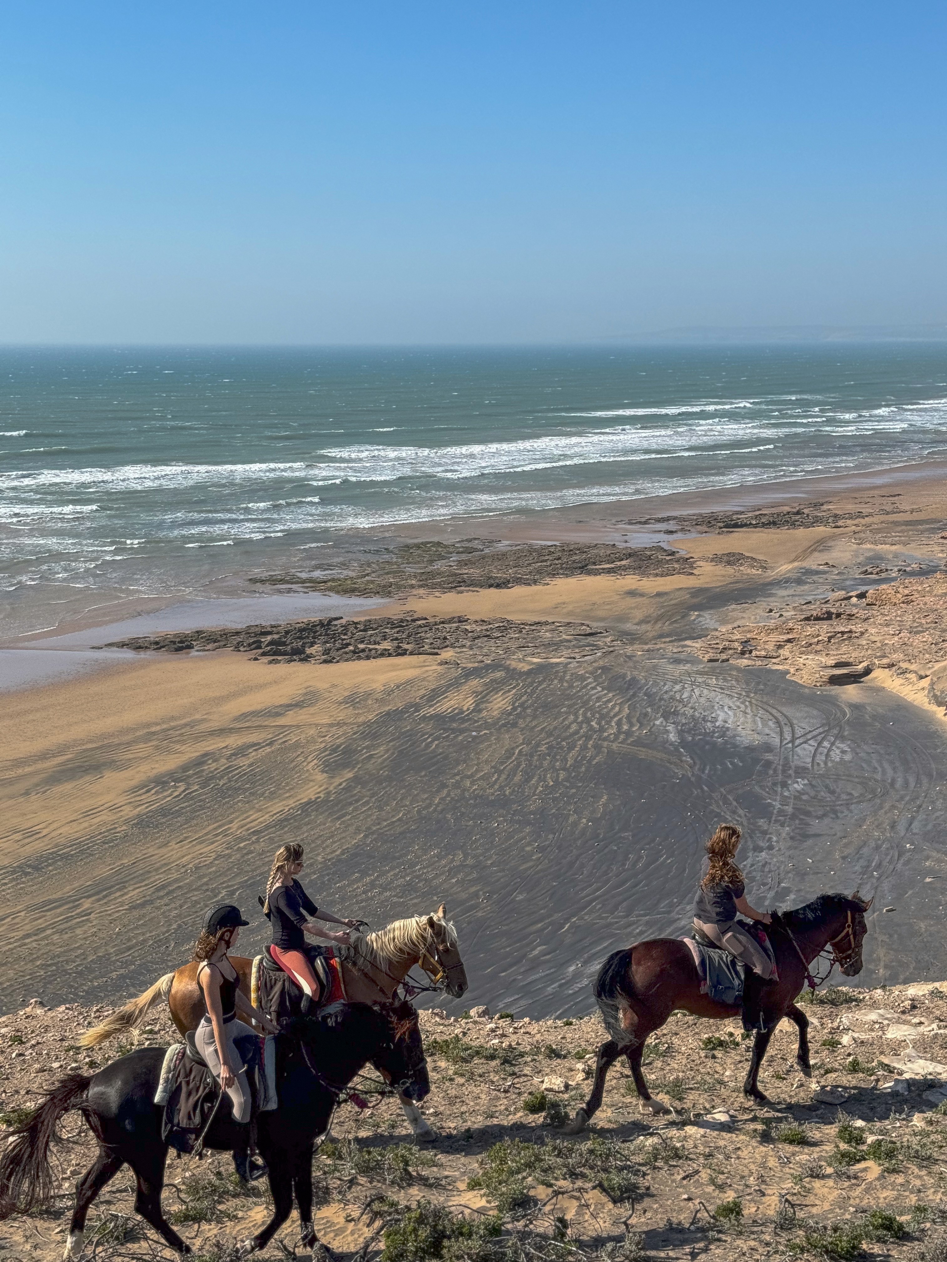 wild landcape