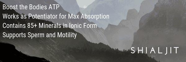 Shilajit Shilajeet moomiyo by Lost Empire Herbs