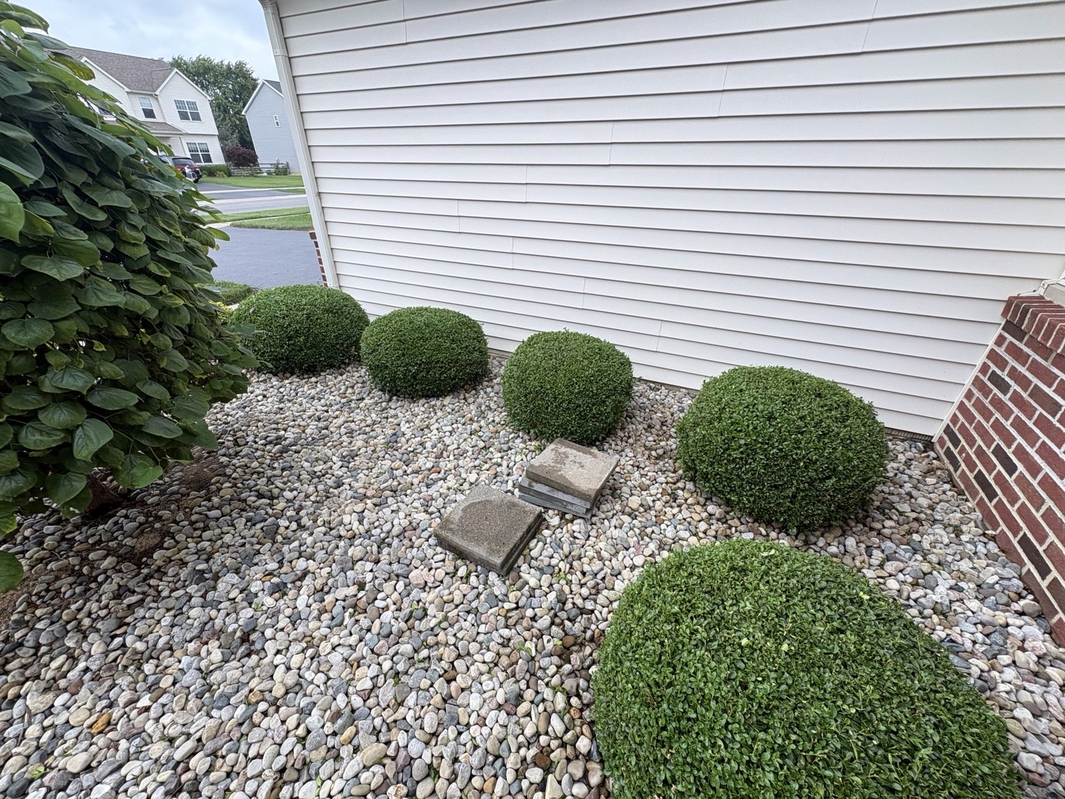 Freshly shaped boxwood landscaping beside a Northwest Ohio home