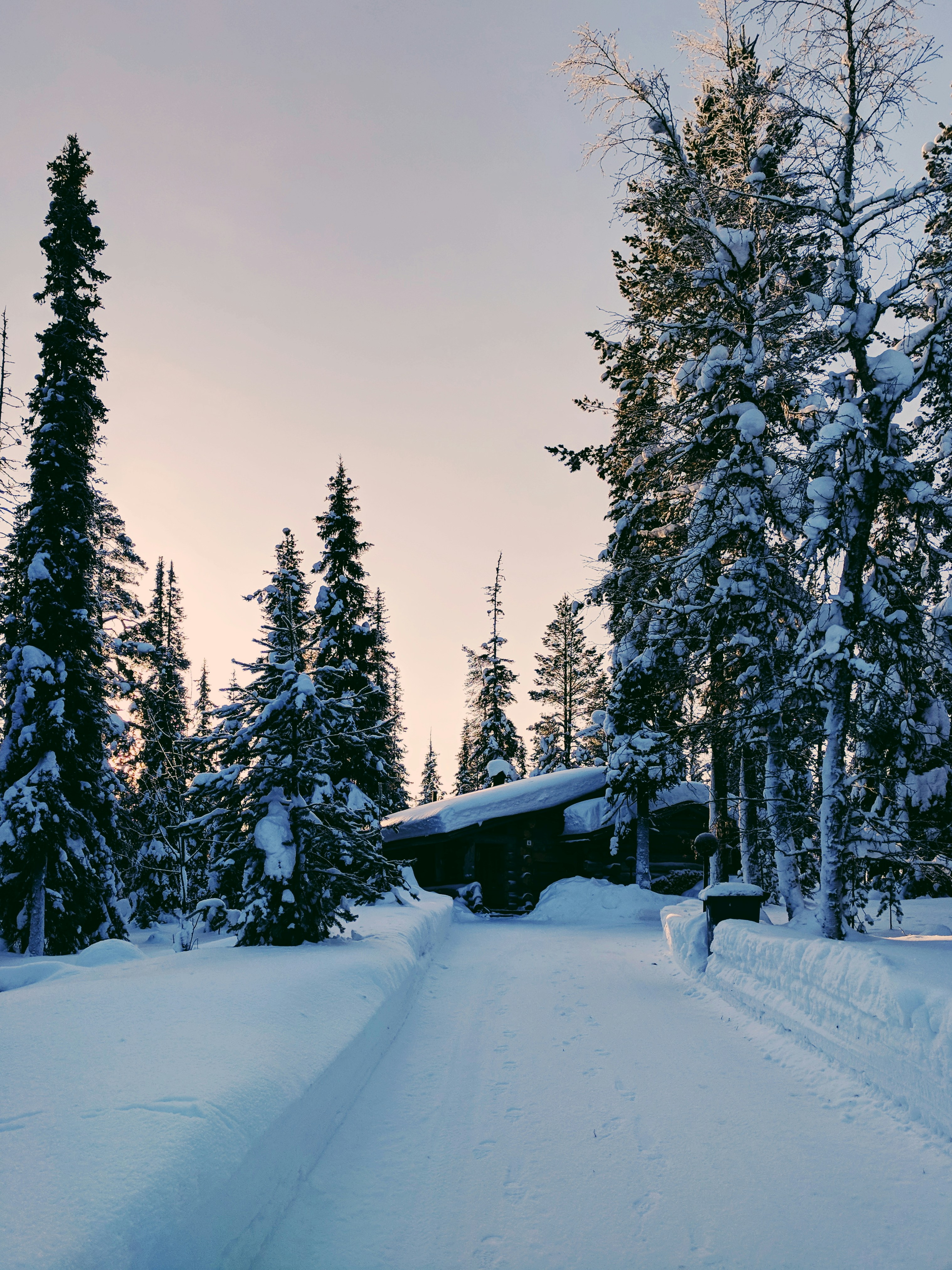 Snow-covered trees surround a cozy cabin in winter.