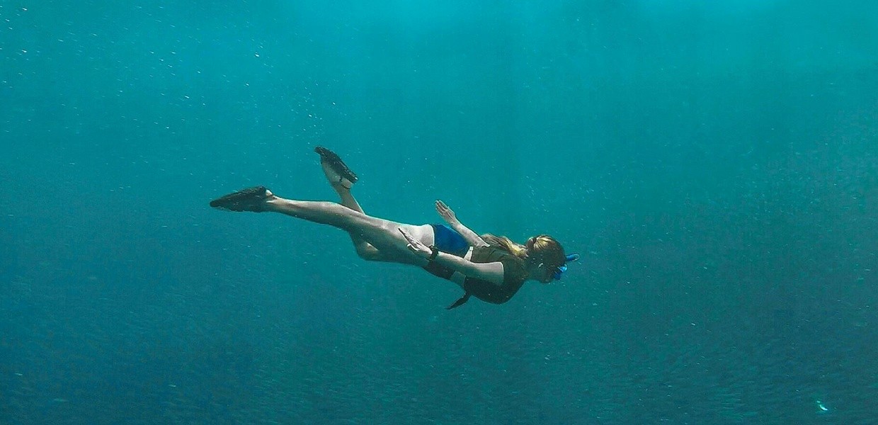 Dive, climb, and explore