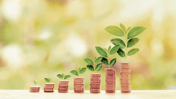 What Are the Top Investment Opportunities in Trichy