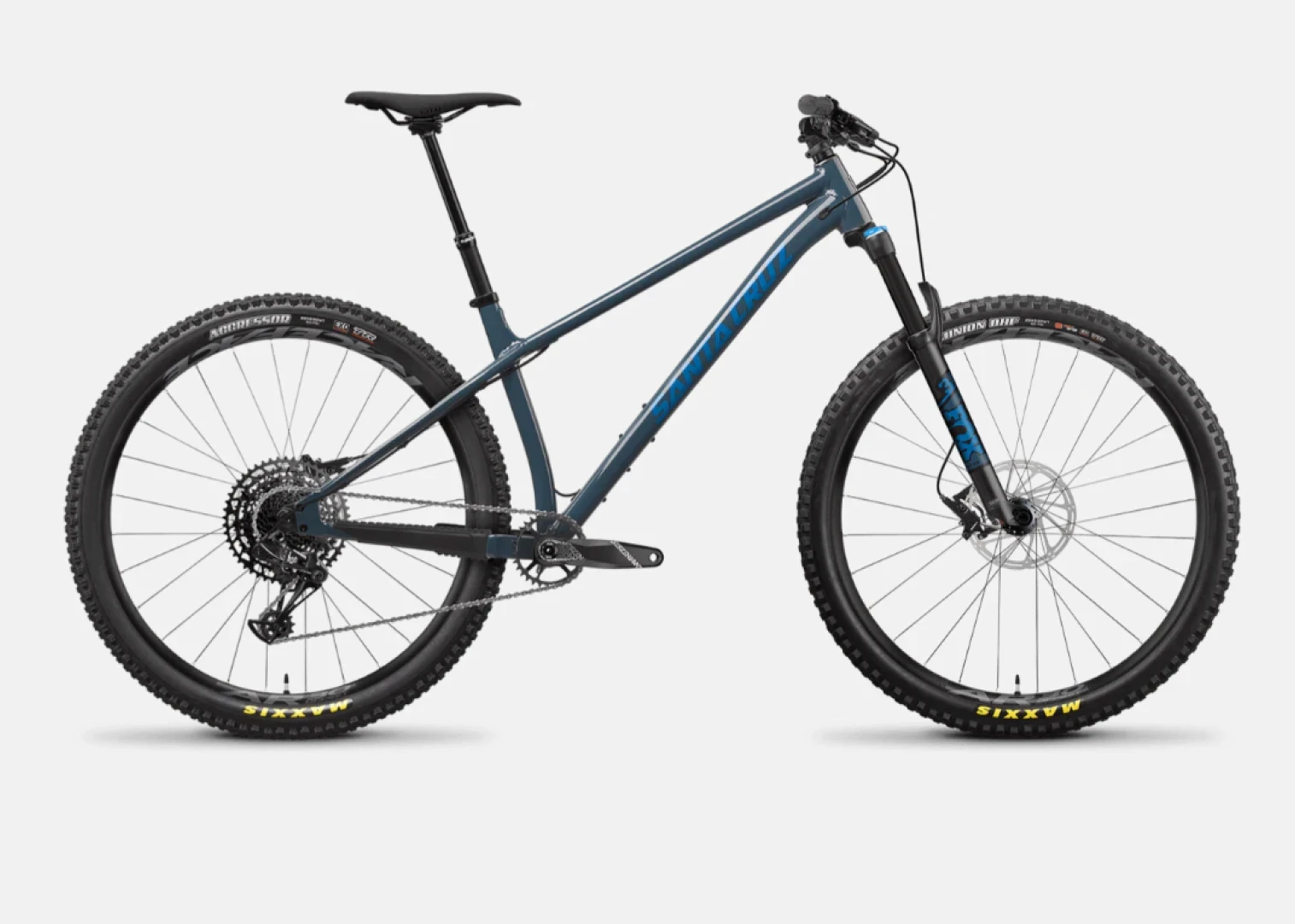 Santa Cruz chameleon product picture