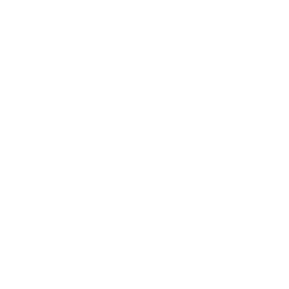 Logo délices au grand Air