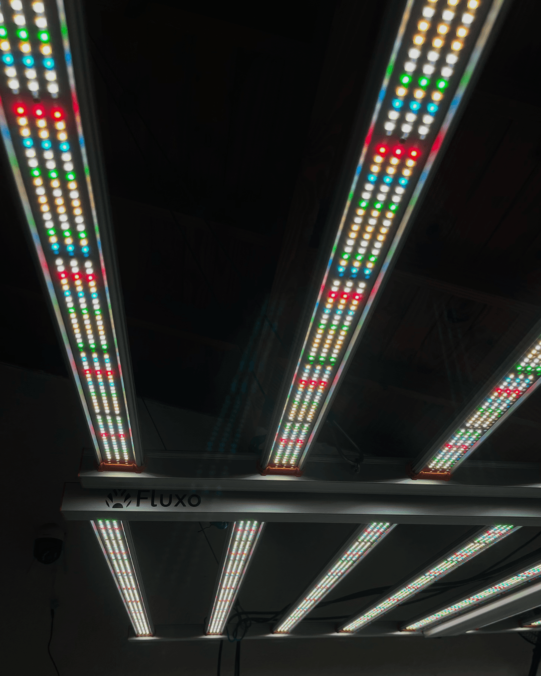 Panel LED Fluxo con tecnología Samsung LM301H EVO para cultivo de cannabis