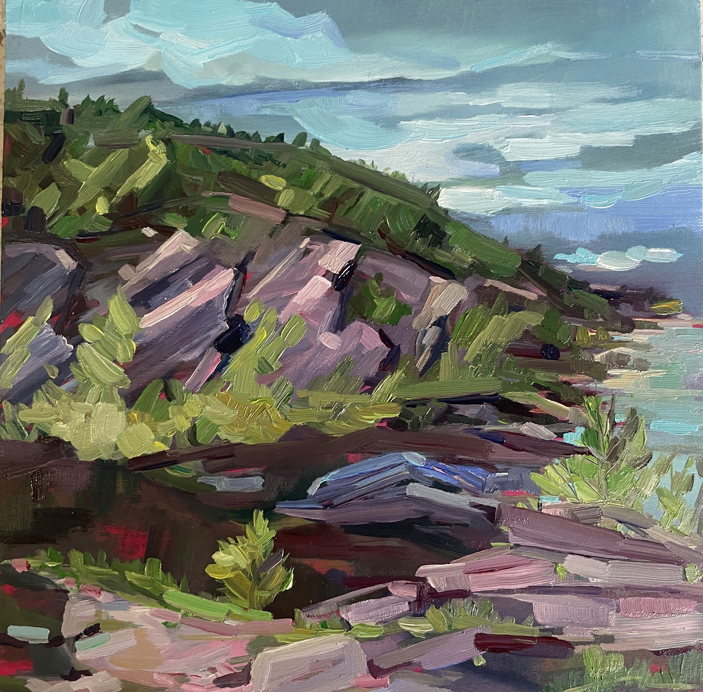 Astwood Park oil painting of the cliffs