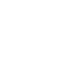 Social Icon