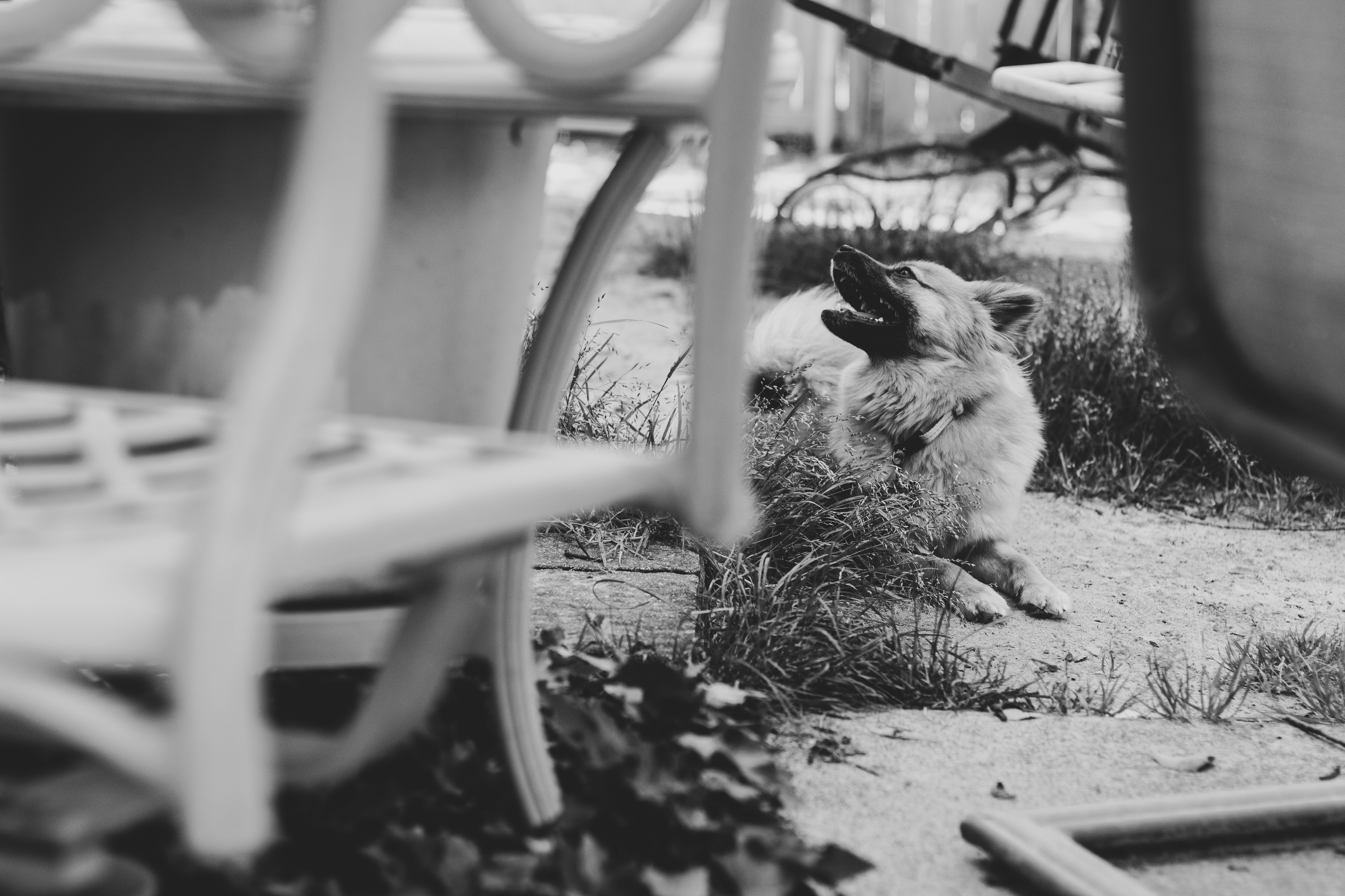 low angle photography of building