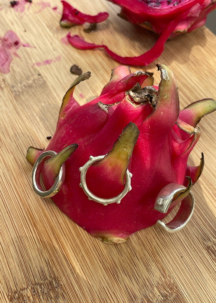 Silver rings in a pitaya