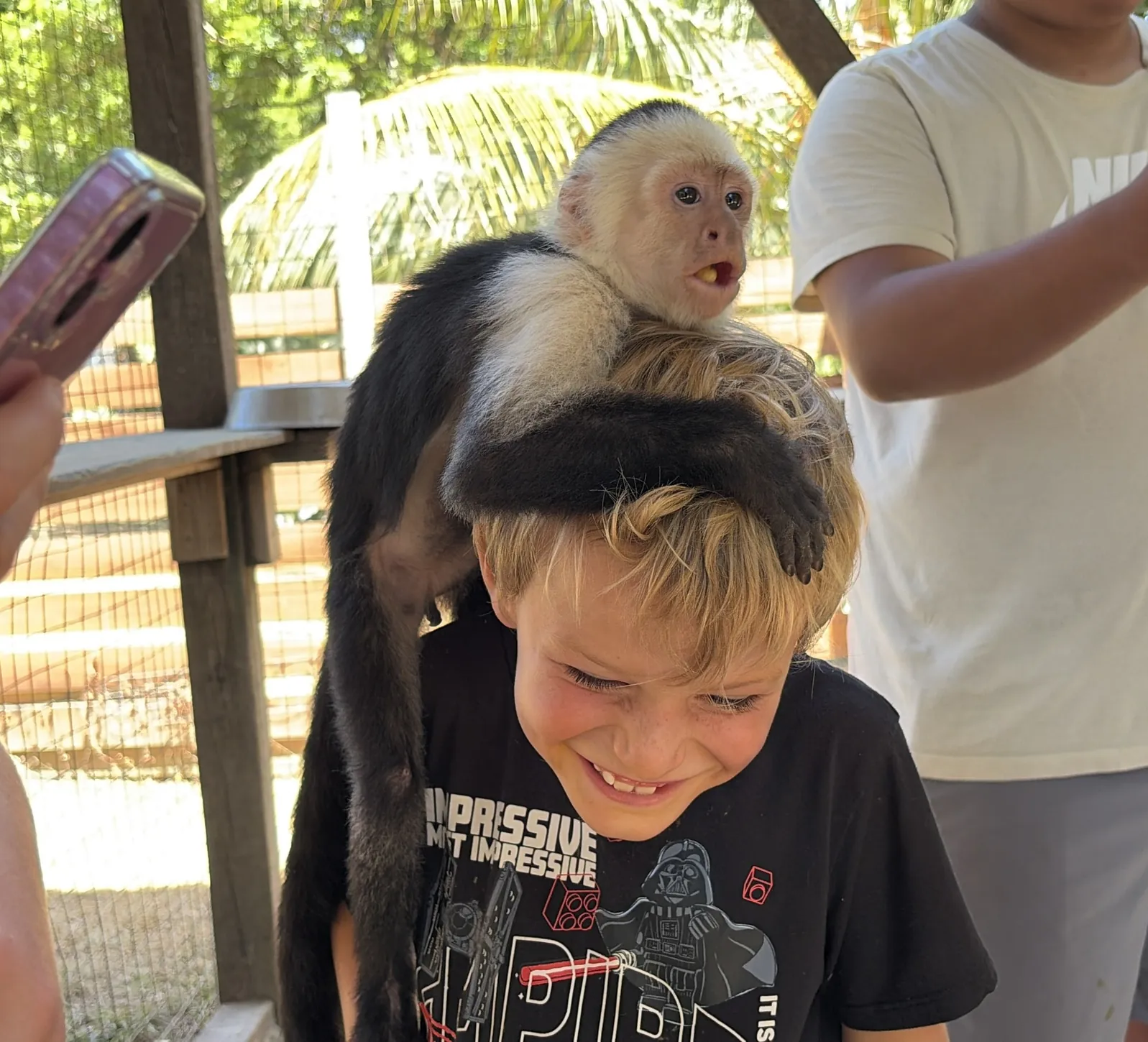 A capuchin monkey perched on a laughing boy's head at AJ's Sloth and Monkey Hangout on Roatán