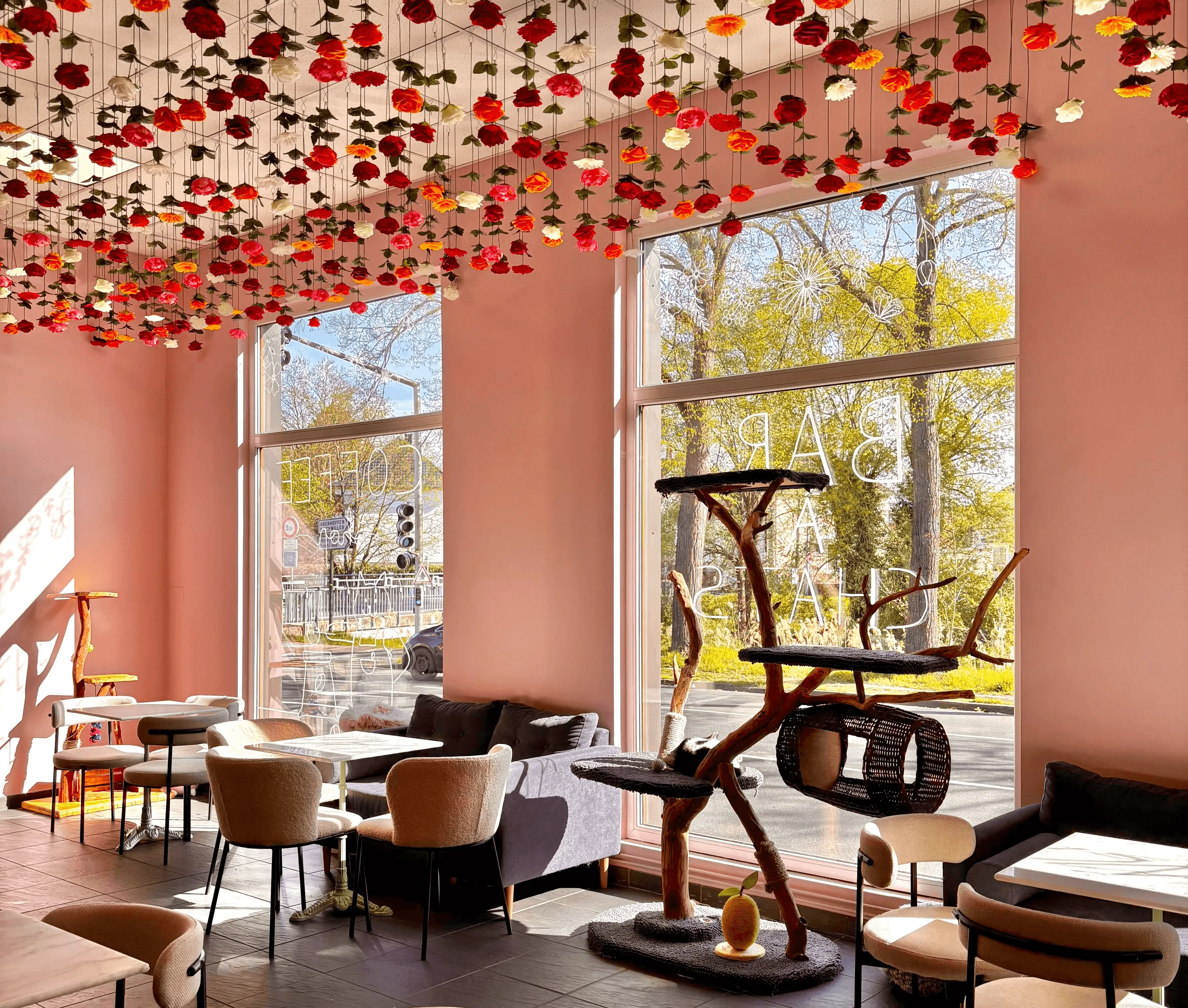 salon-interieur-soleil