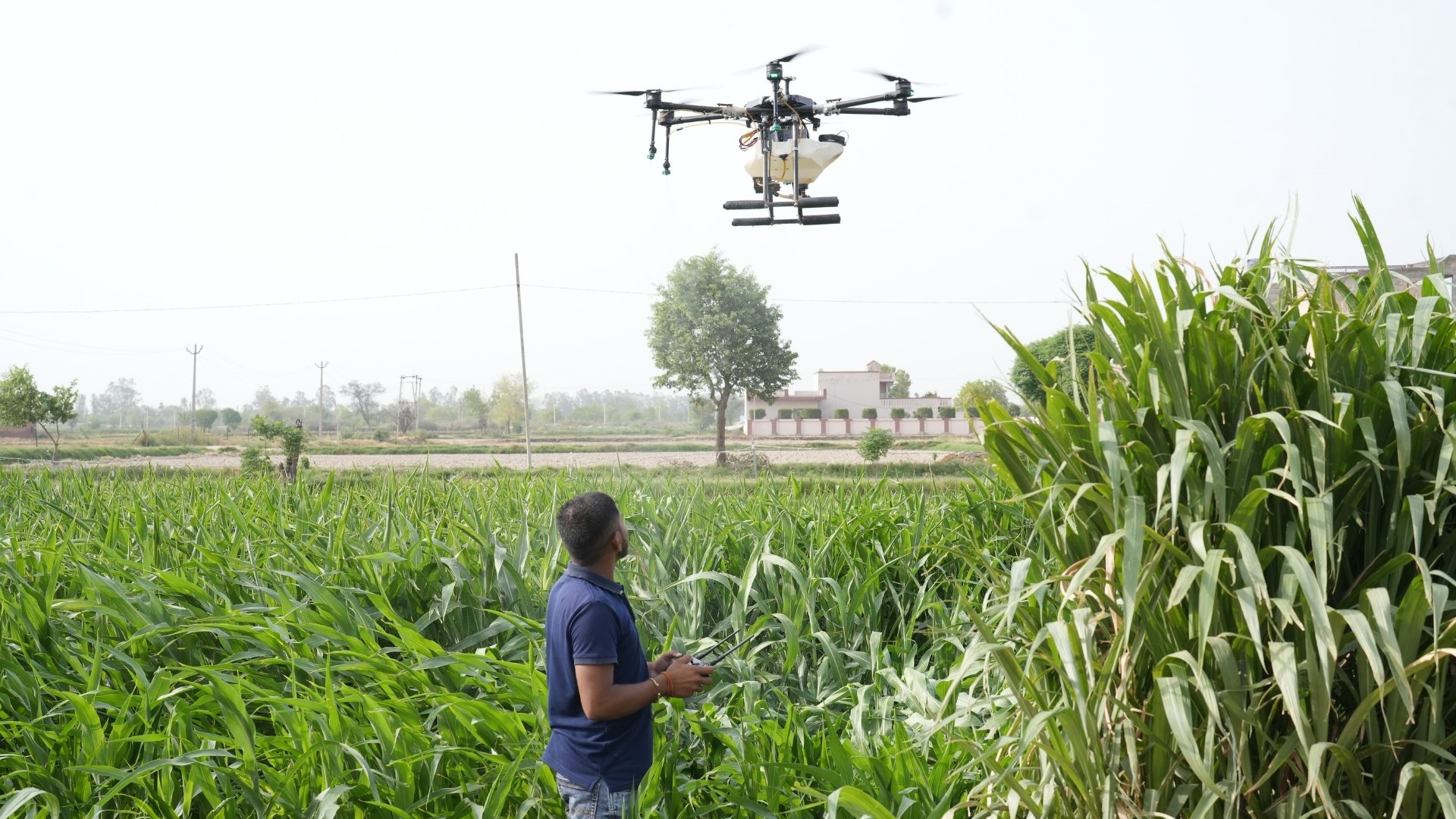 Leher’s Drone Technology for Effective Plant Disease Control