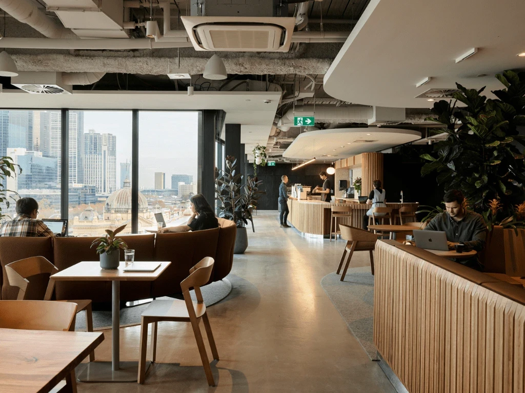 Hub Australia worked with Formulaik for 6 years to grow their brand into a nationally recognised name