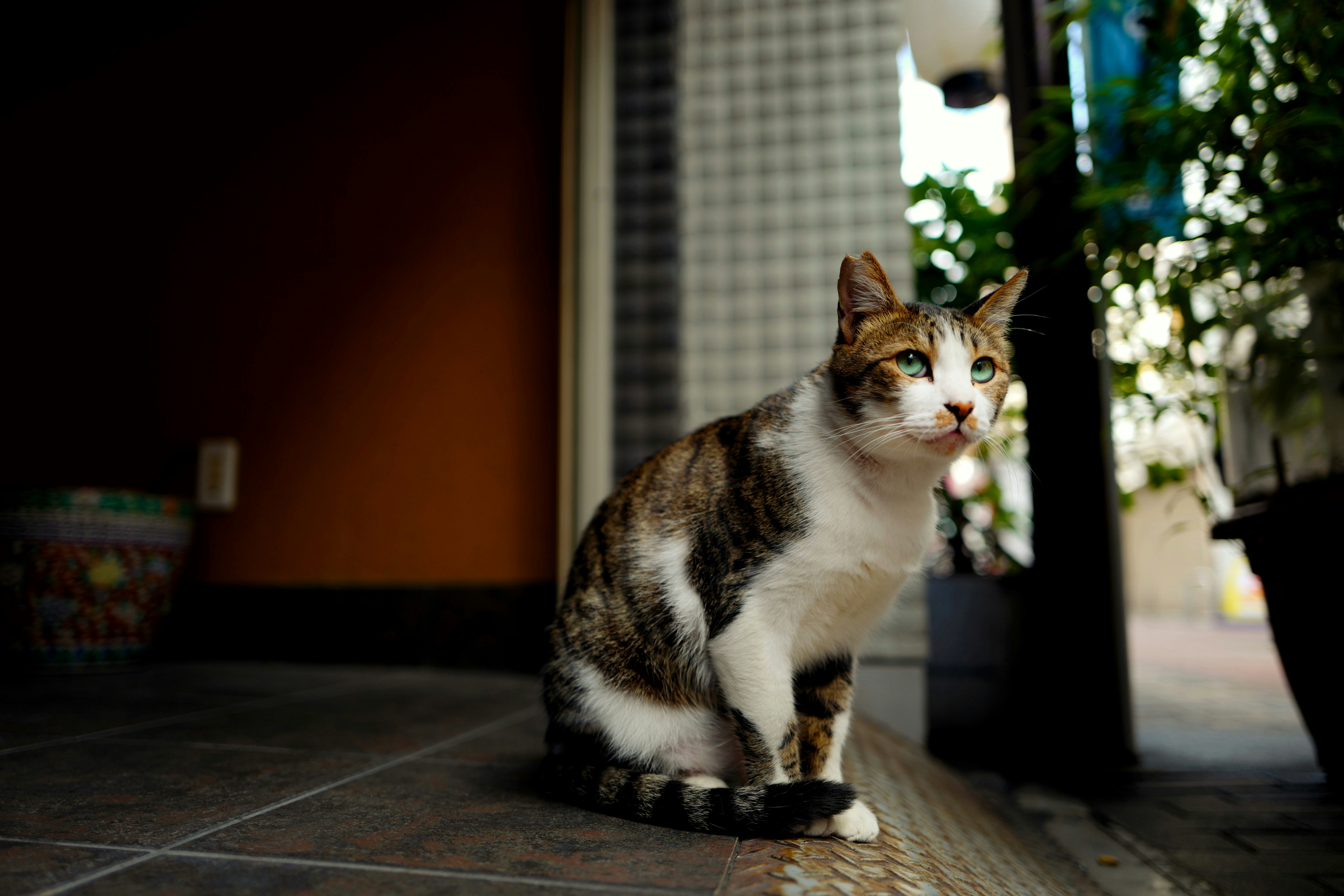 Japan