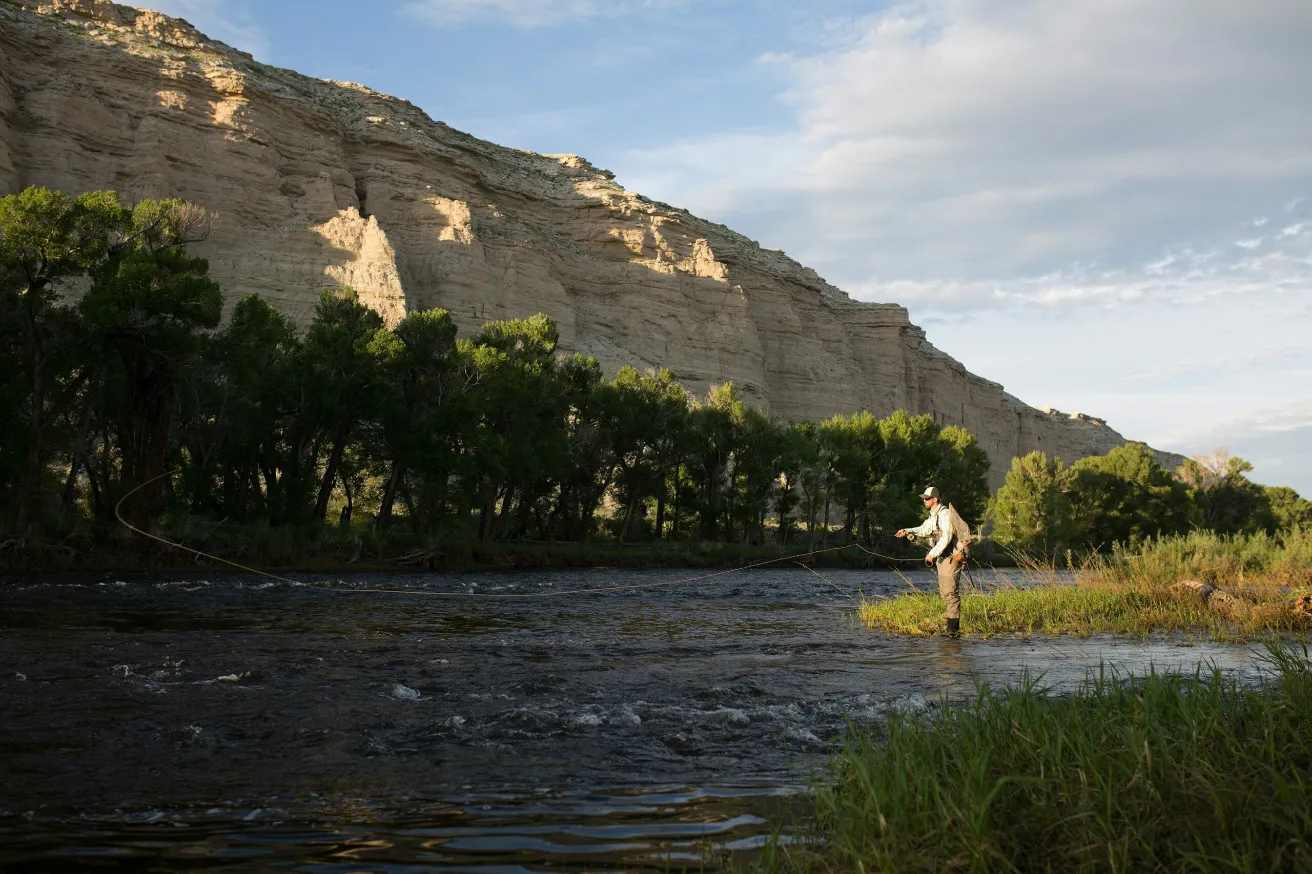 Bellevoire Reception