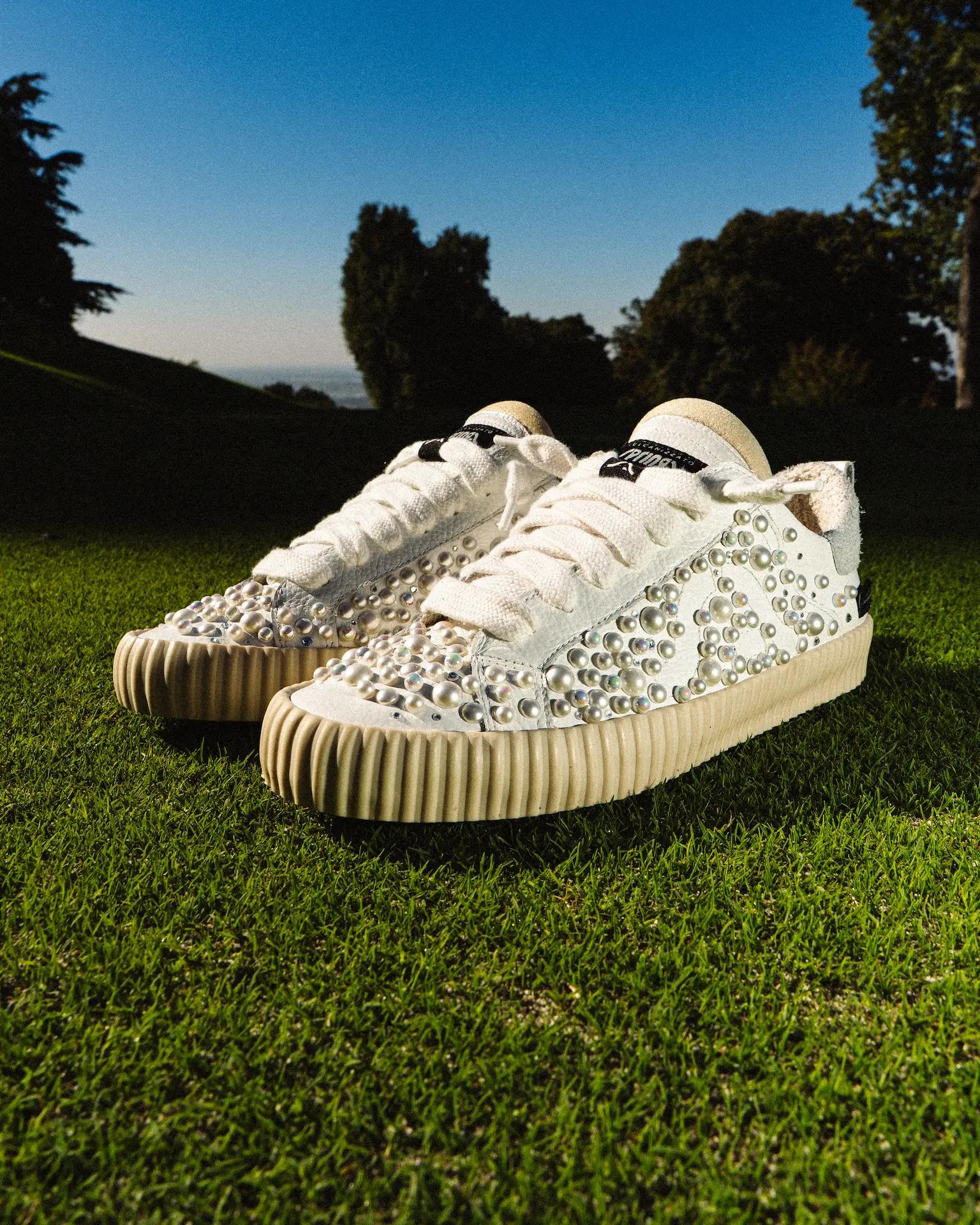 Commercial & Branding