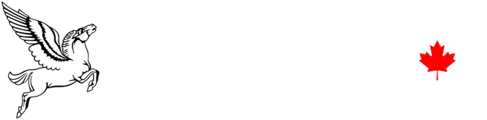 Jet-setter logo