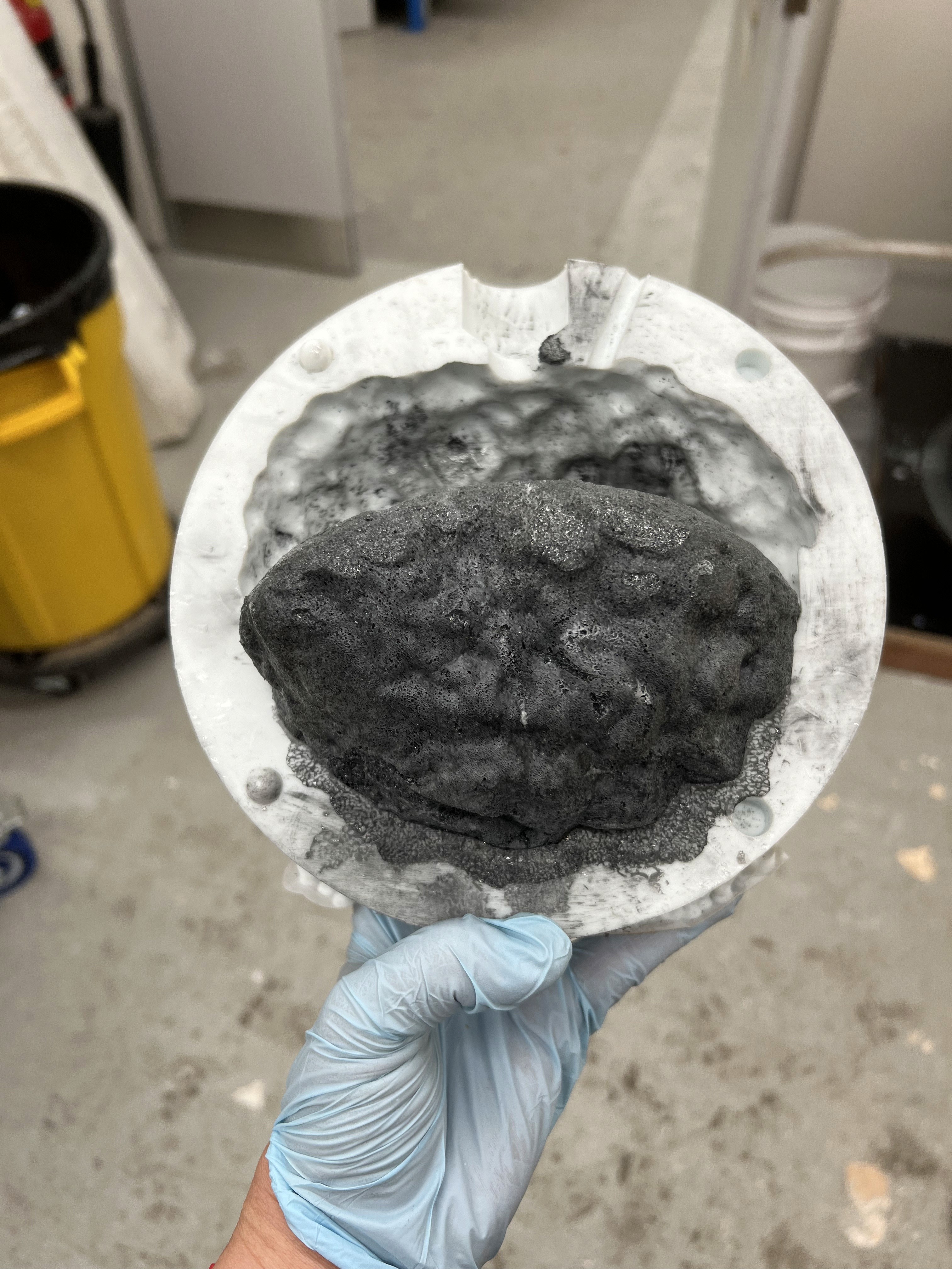 Deep Sea Mining Claw Cachine, 2025, Catherine Sarah Young, Adelaide, South Australia