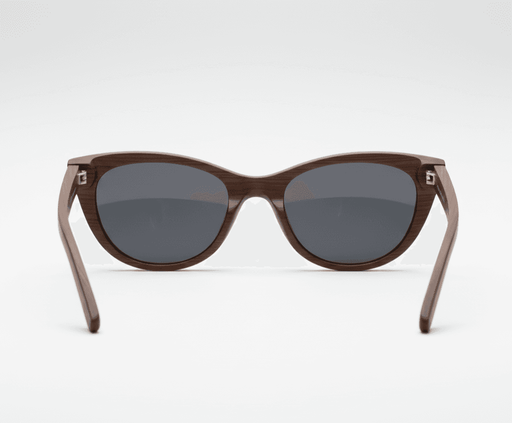 sunglasses back view