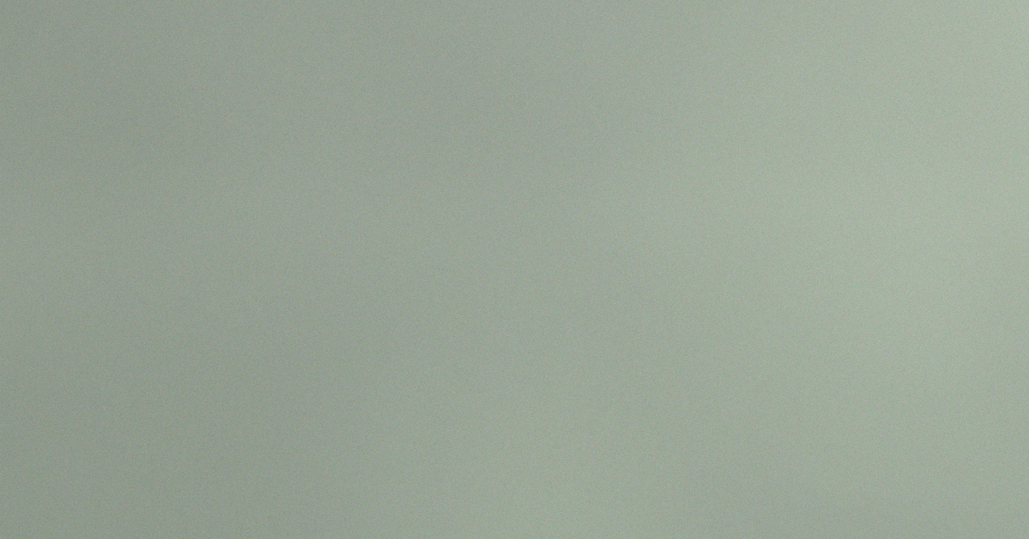 Plain neutral green background for headshots & acting resume section