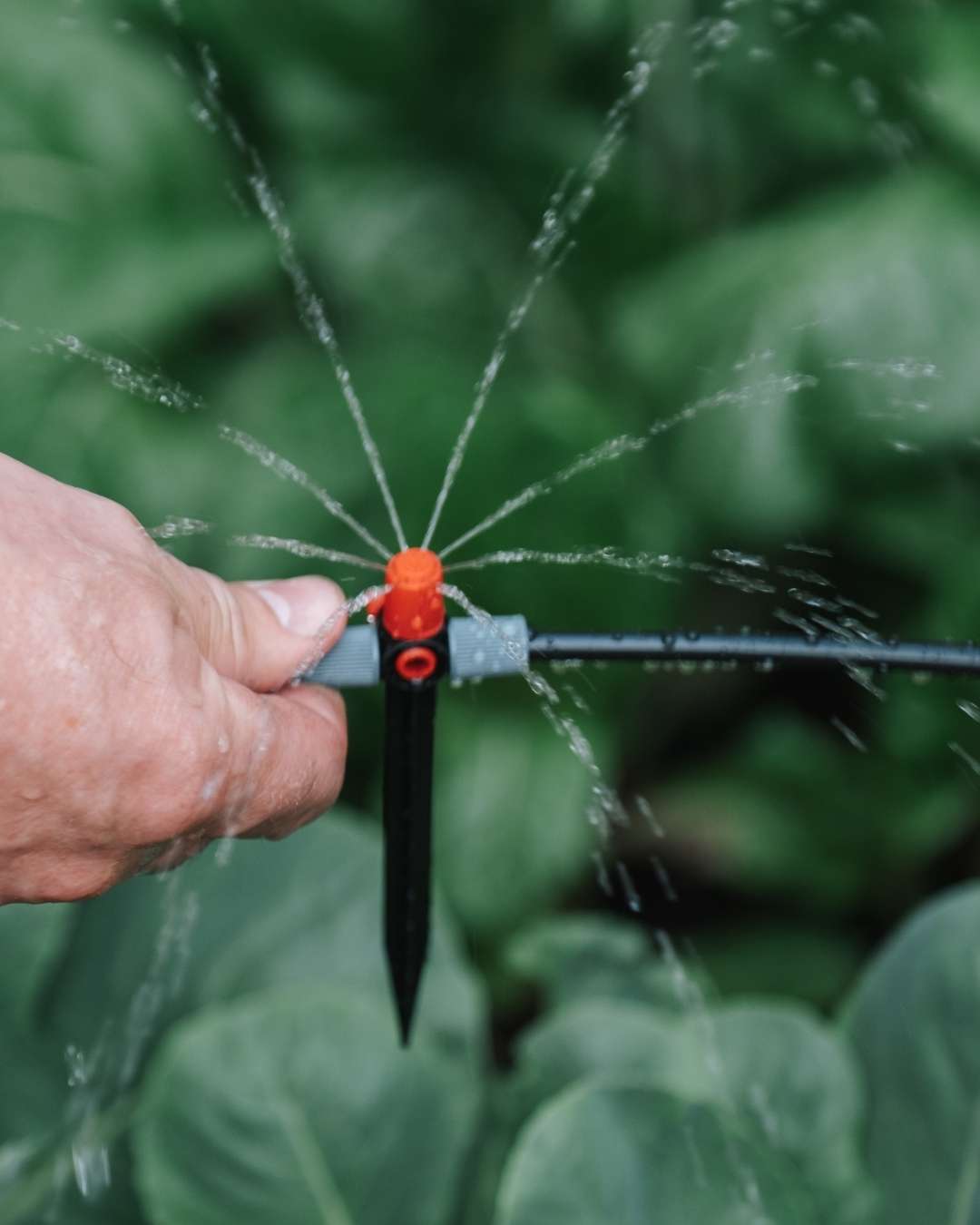 How Can We Help With Residential Drip Irrigation Installation 