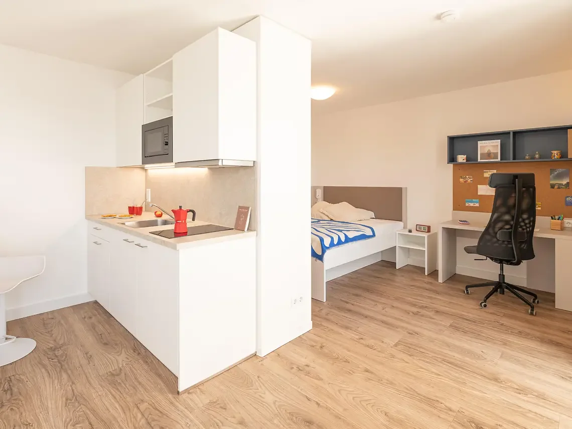 Spacious private student studio in Hamburg with kitchenette, bed and dedicated study area