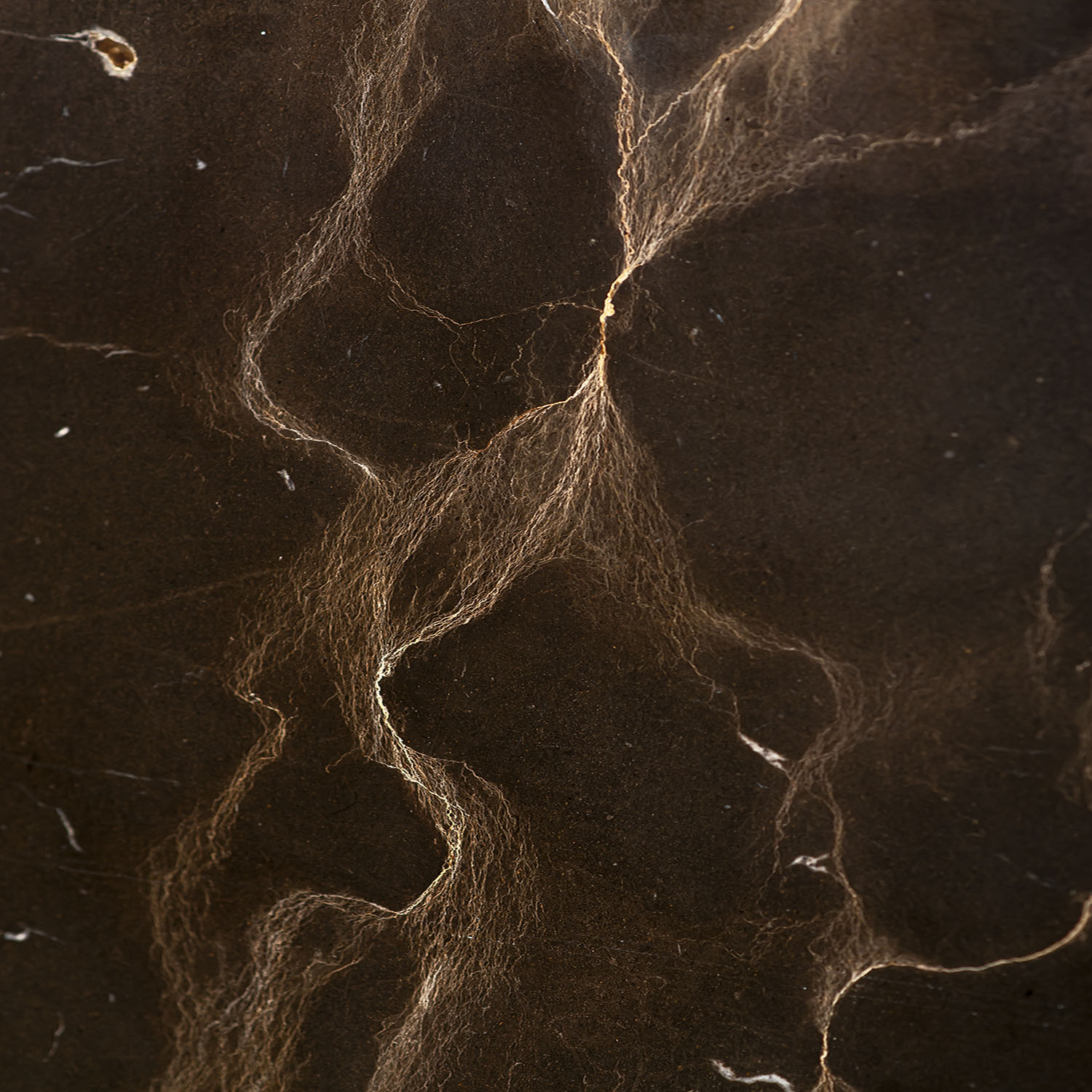 Smoky Brown Marmor mit goldenen Linien