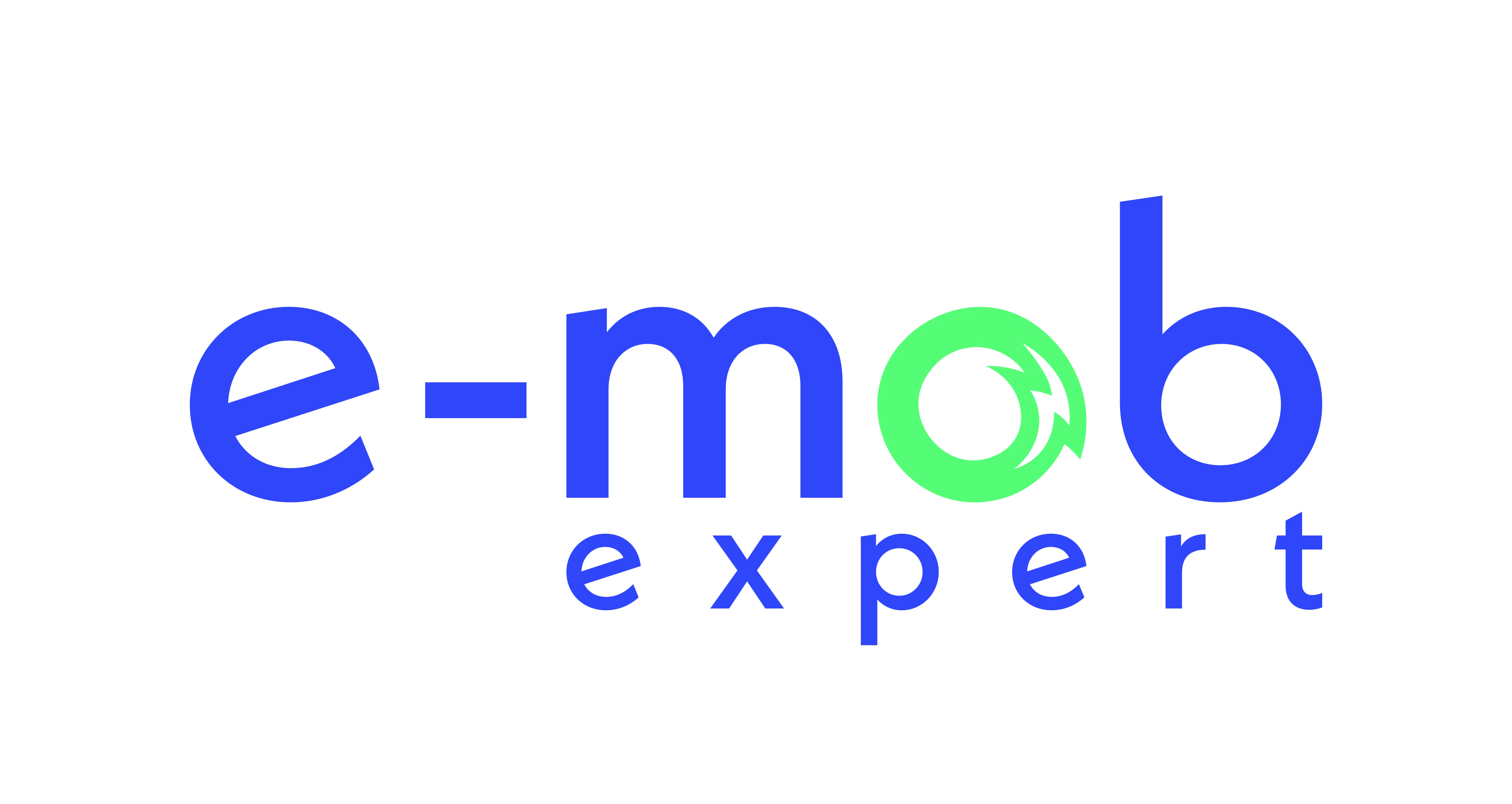 Company logo e-mob expert