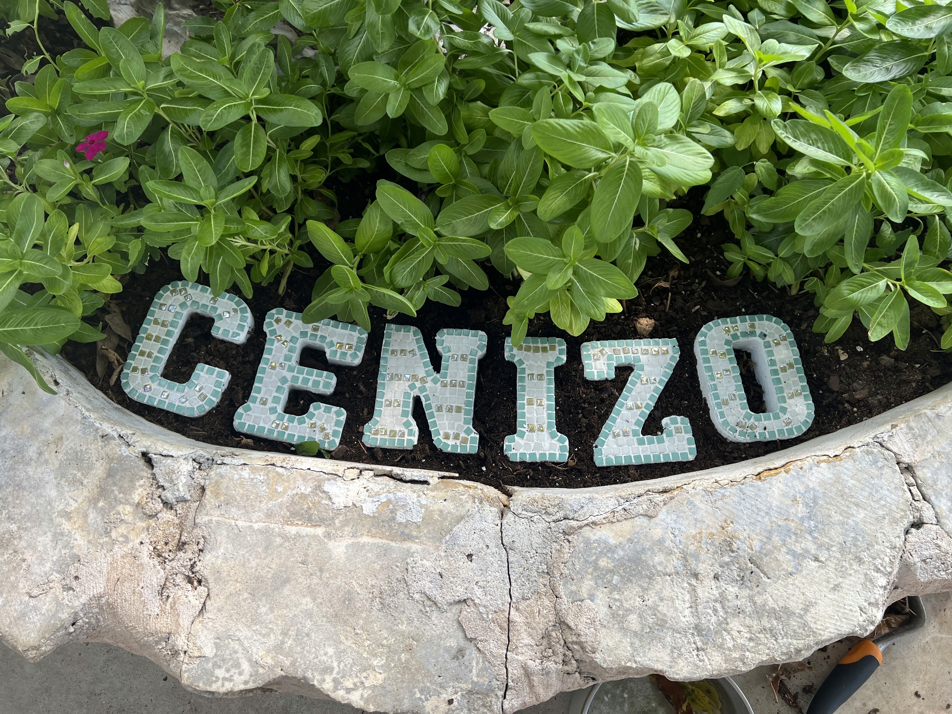 Cenizo Letters