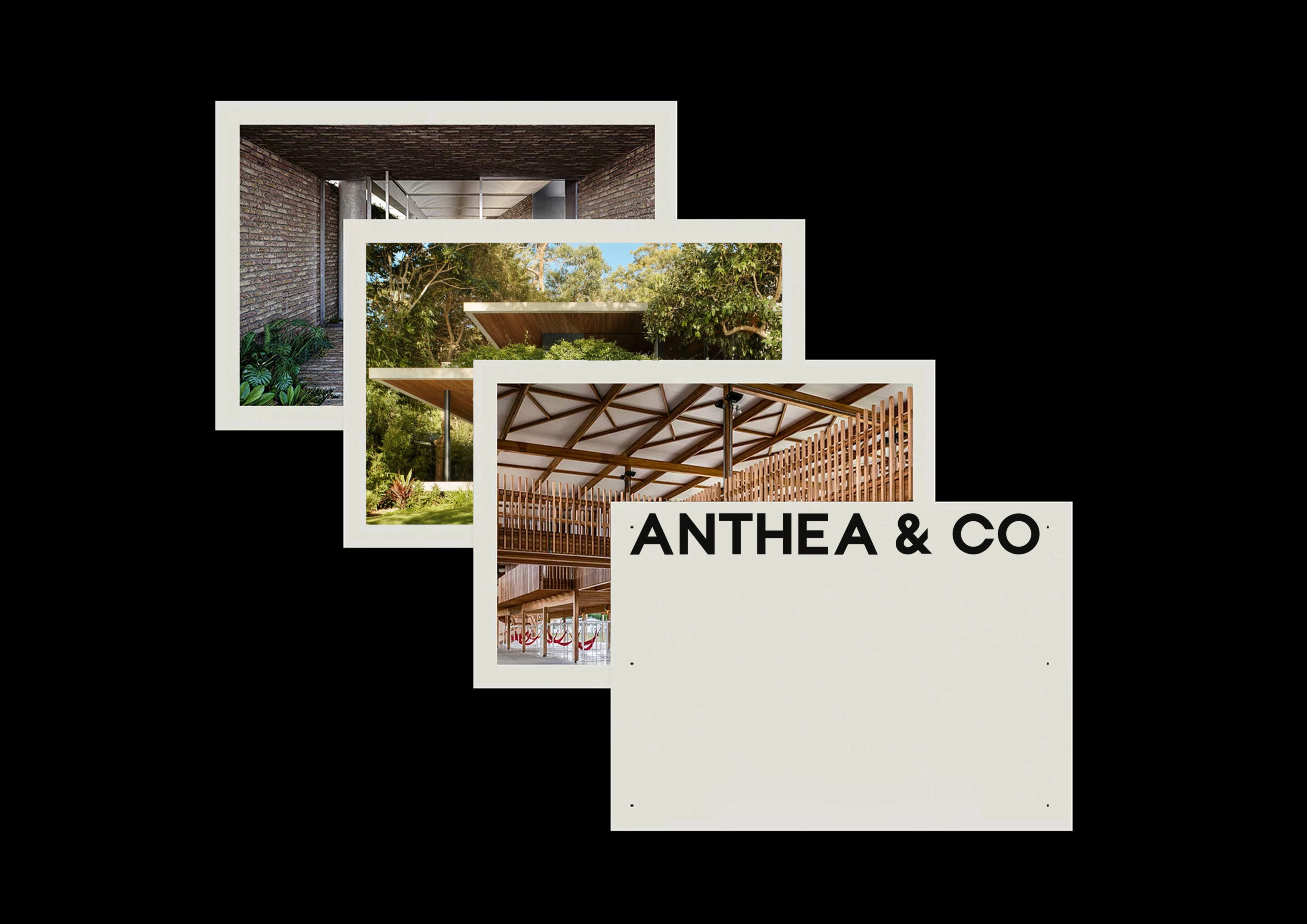 Anthea & Co Main Image 10