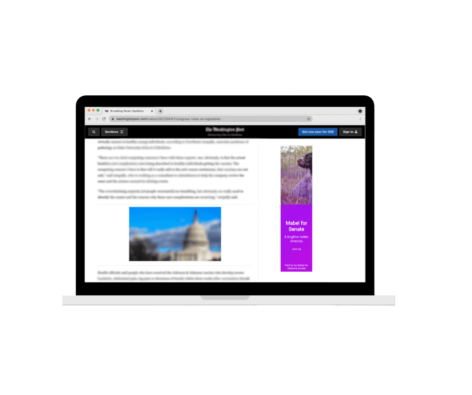 Display Image Ad Generator — browser mockup