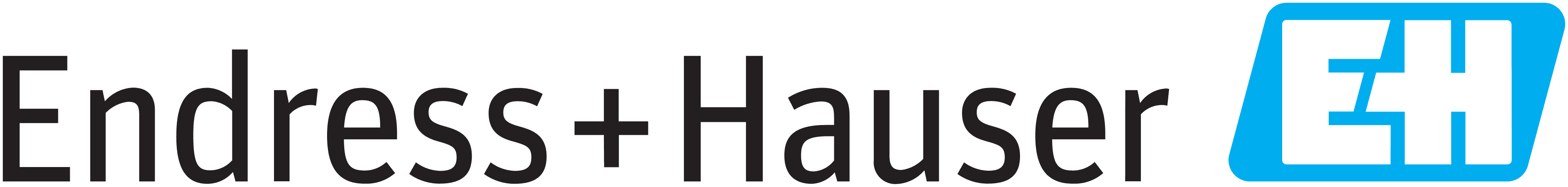 Endress Hauser logo