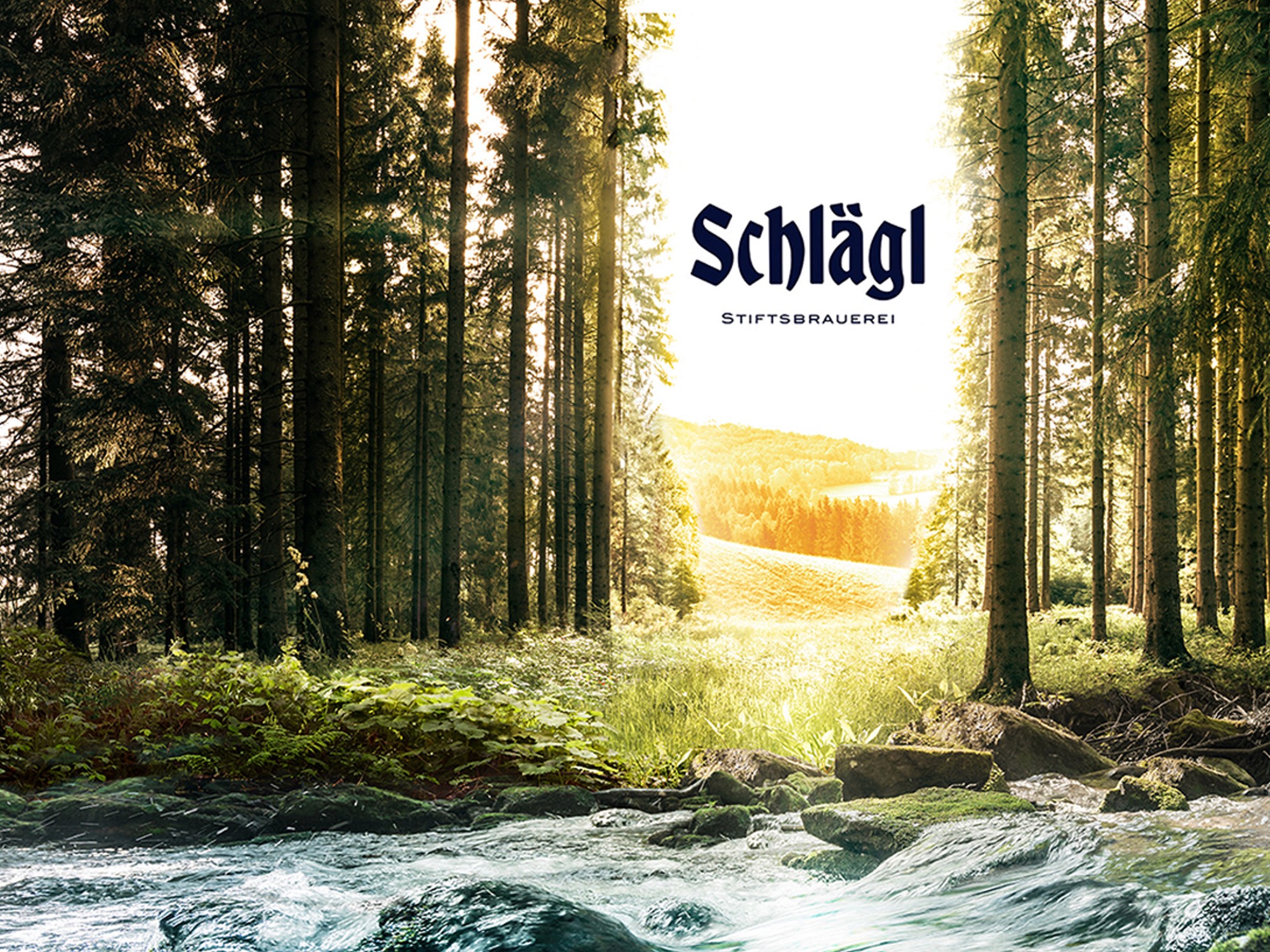 Schlägl Motiv eines Waldes mit Quelle