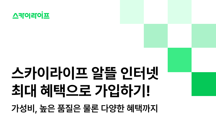 알뜰 인터넷 고민 중이라면? KT망으로 품질은 높이고 혜택까지 챙기는 스카이라이프 알뜰 인터넷 최대 혜택 가입법을 소개합니다.