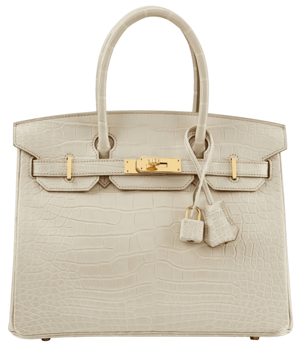 Modern luxury designer handbags